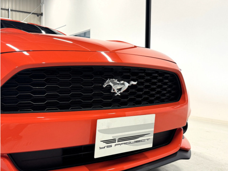 MUSTANG