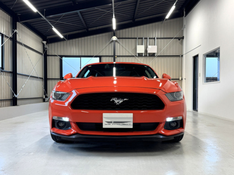 MUSTANG