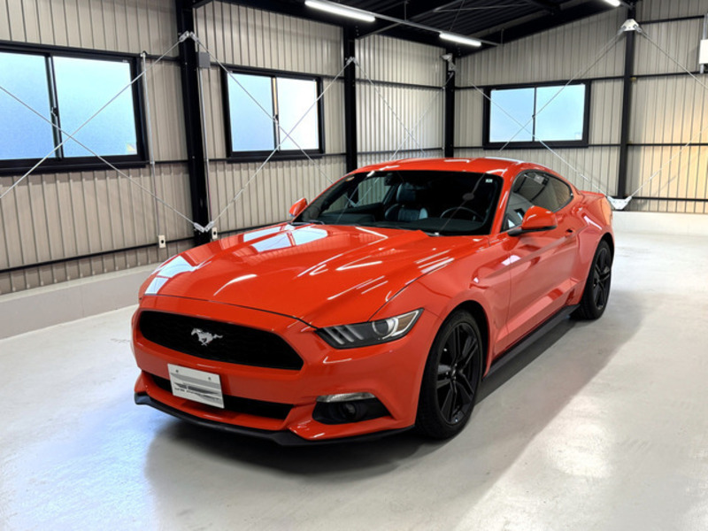 MUSTANG