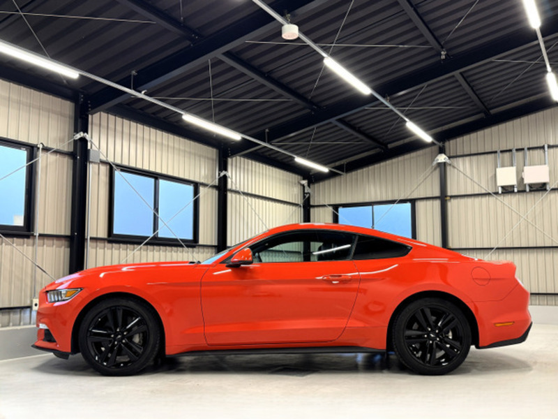 MUSTANG