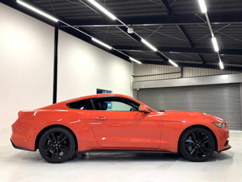 MUSTANG