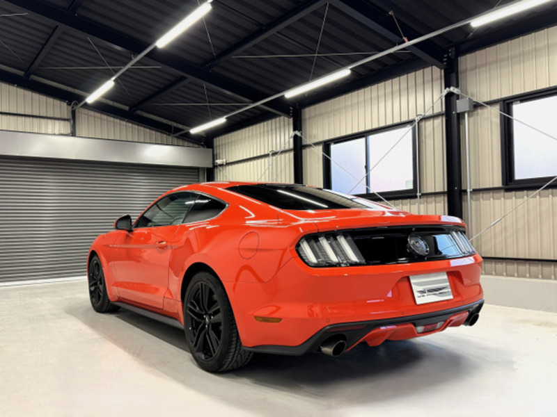 MUSTANG