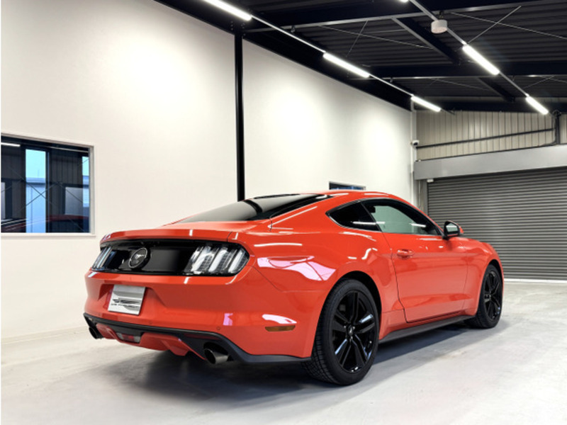 MUSTANG
