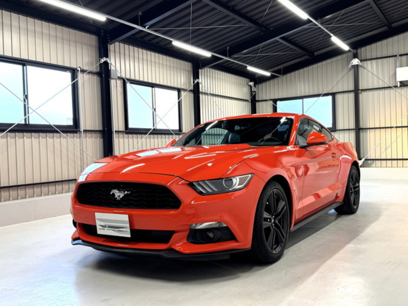 MUSTANG