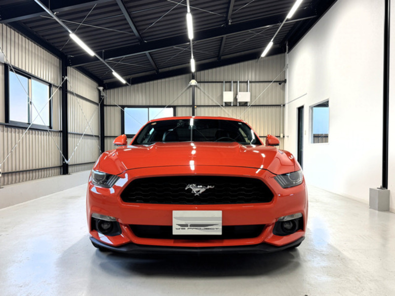 MUSTANG