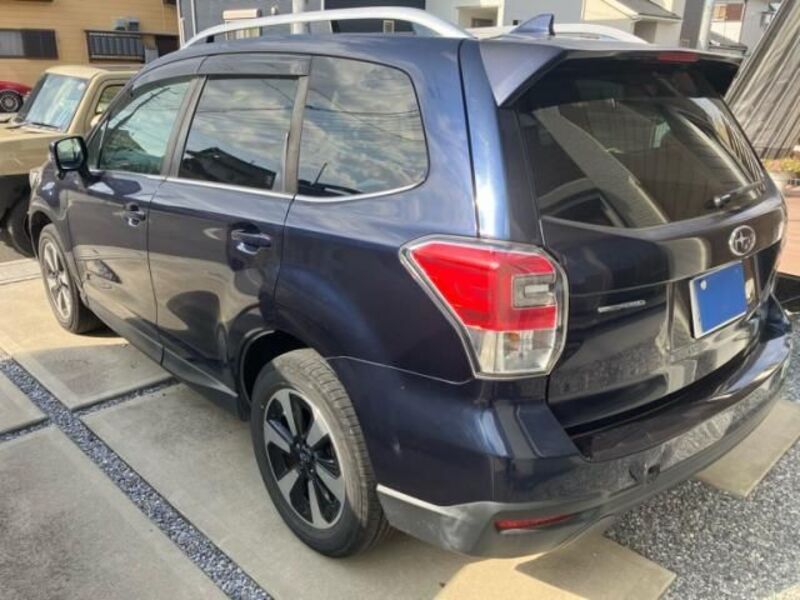 FORESTER