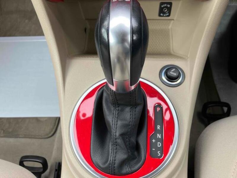 THE BEETLE