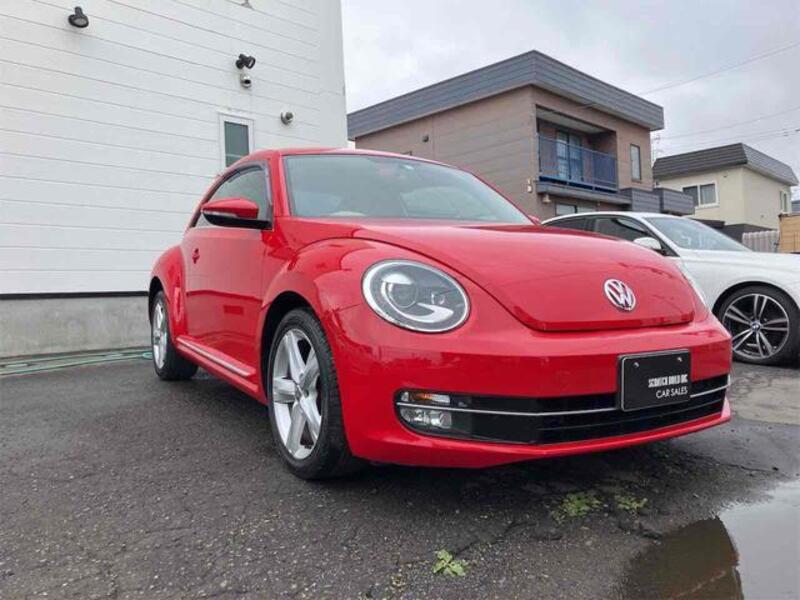 THE BEETLE