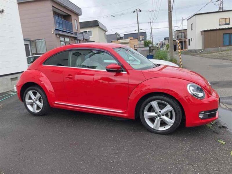 THE BEETLE