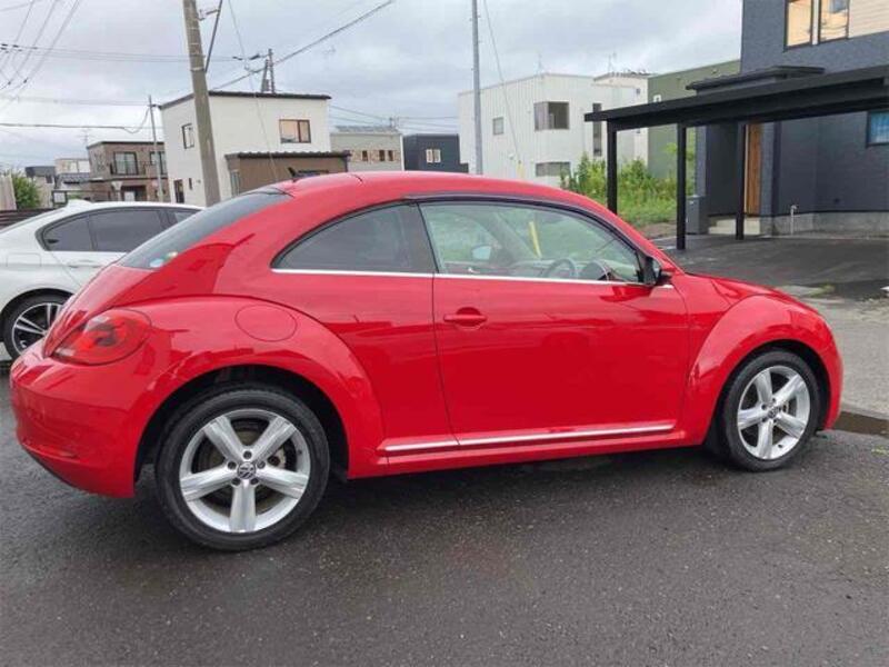 THE BEETLE