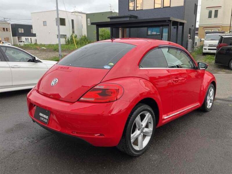 THE BEETLE