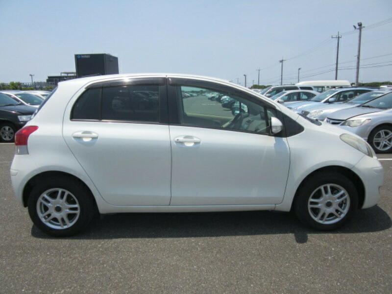 VITZ-3