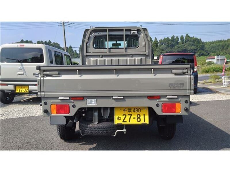CARRY TRUCK
