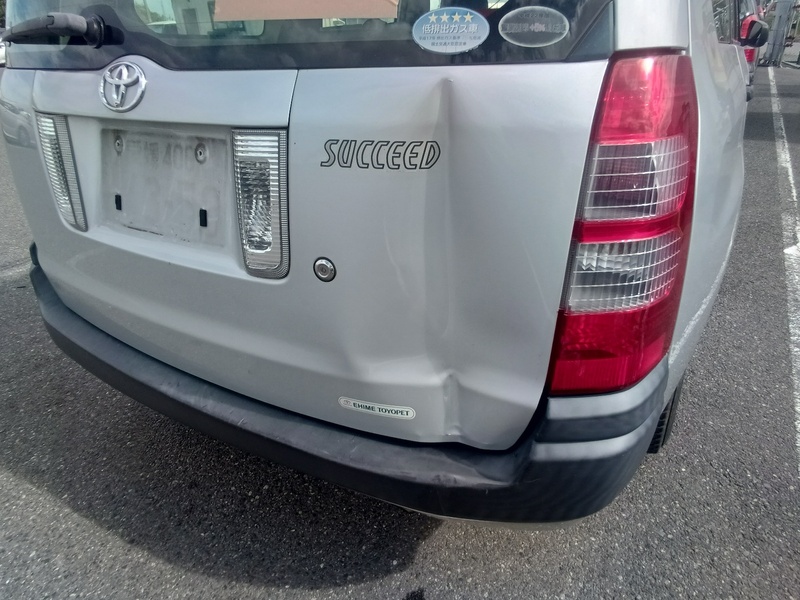SUCCEED VAN