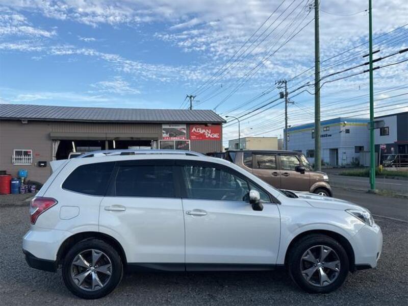 FORESTER