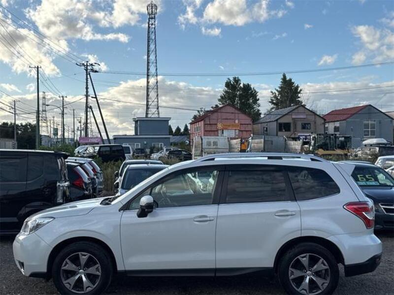 FORESTER