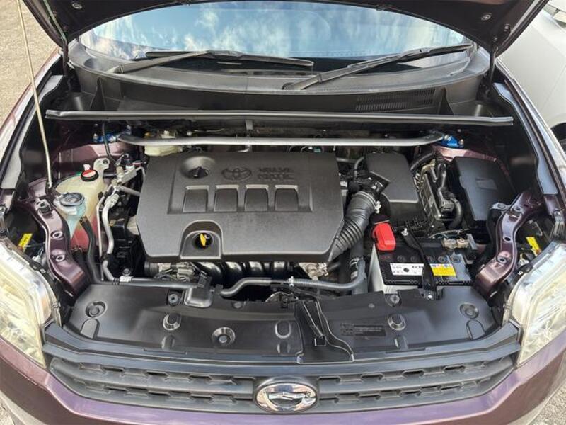 COROLLA RUMION