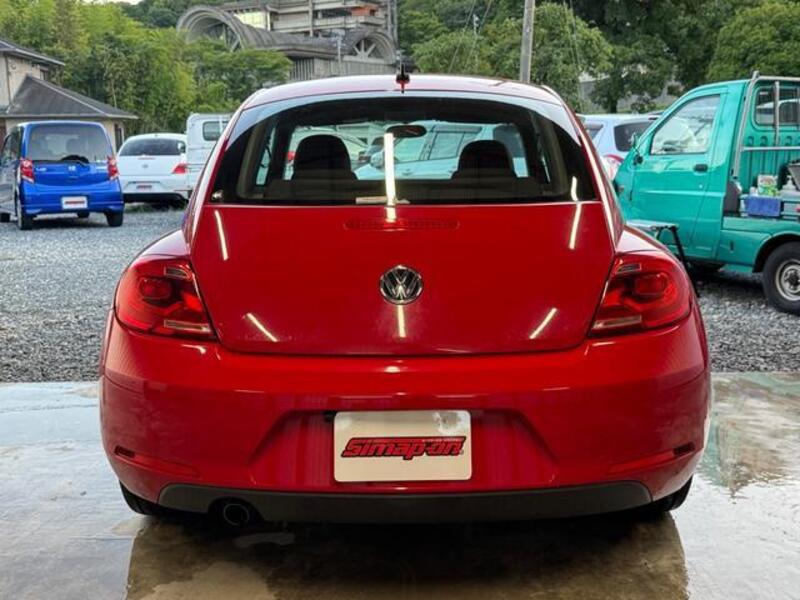 THE BEETLE