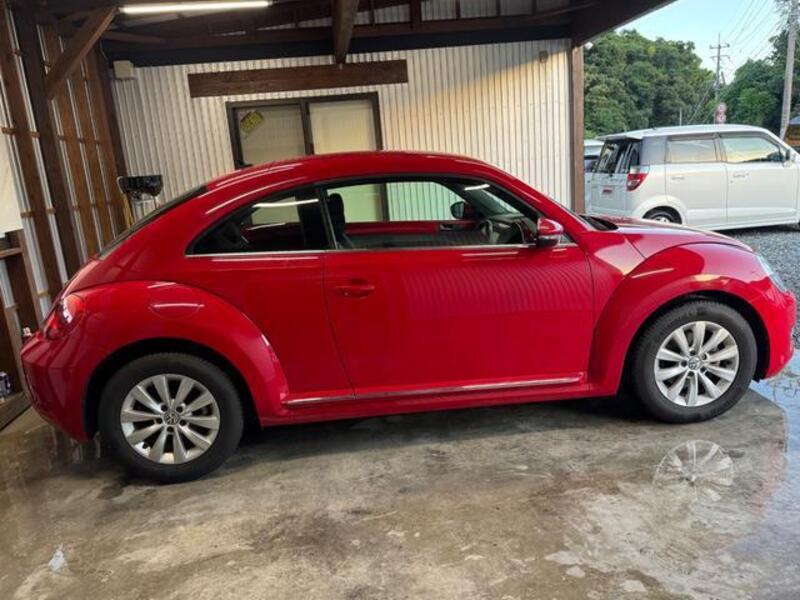 THE BEETLE
