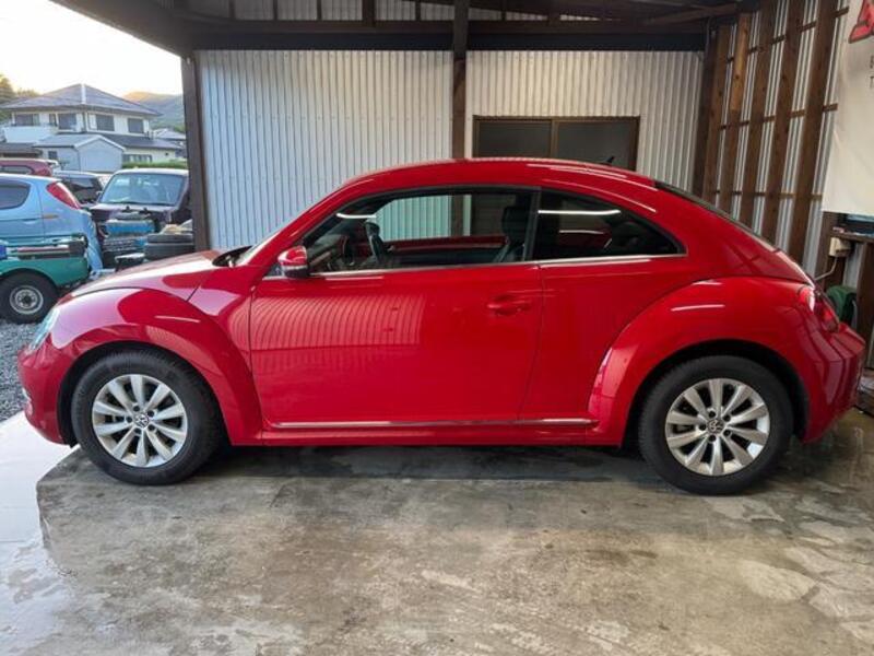 THE BEETLE