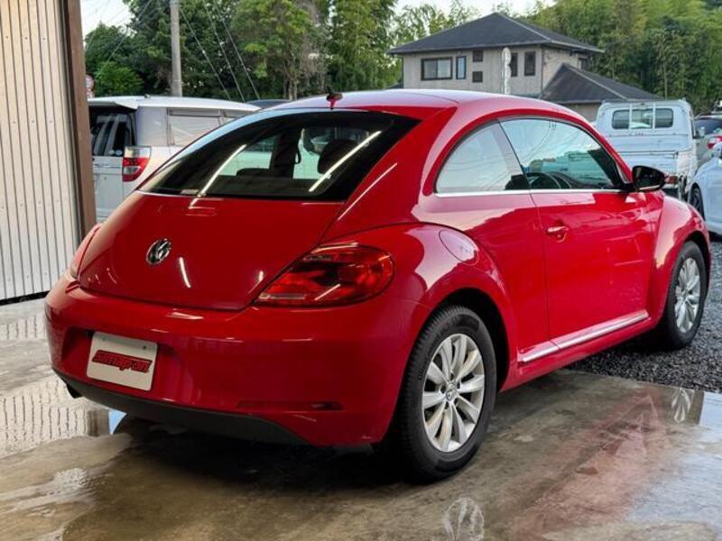 THE BEETLE
