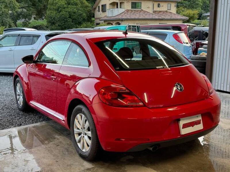 THE BEETLE