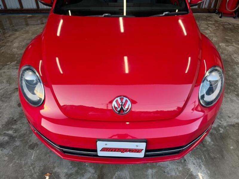 THE BEETLE