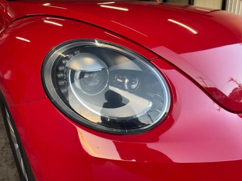THE BEETLE