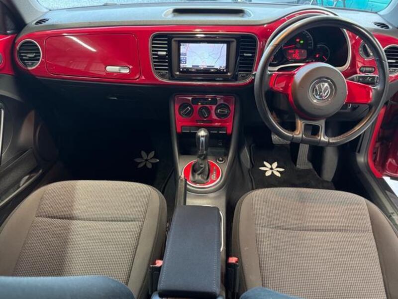 THE BEETLE