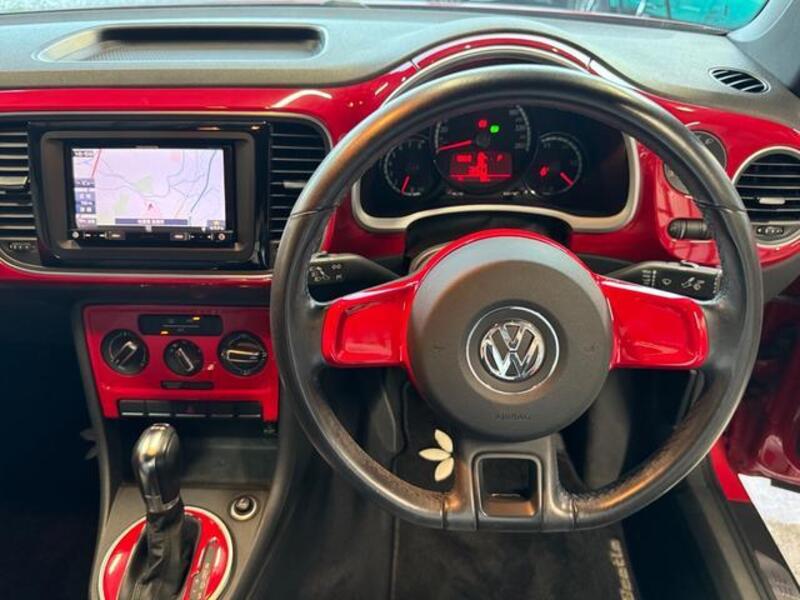 THE BEETLE
