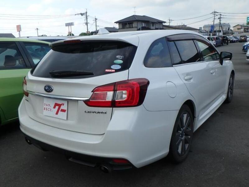 LEVORG