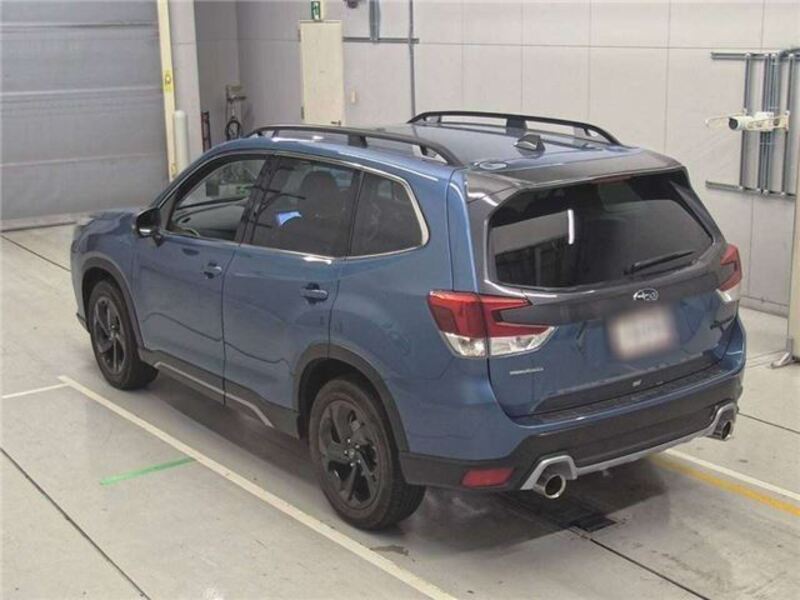 FORESTER