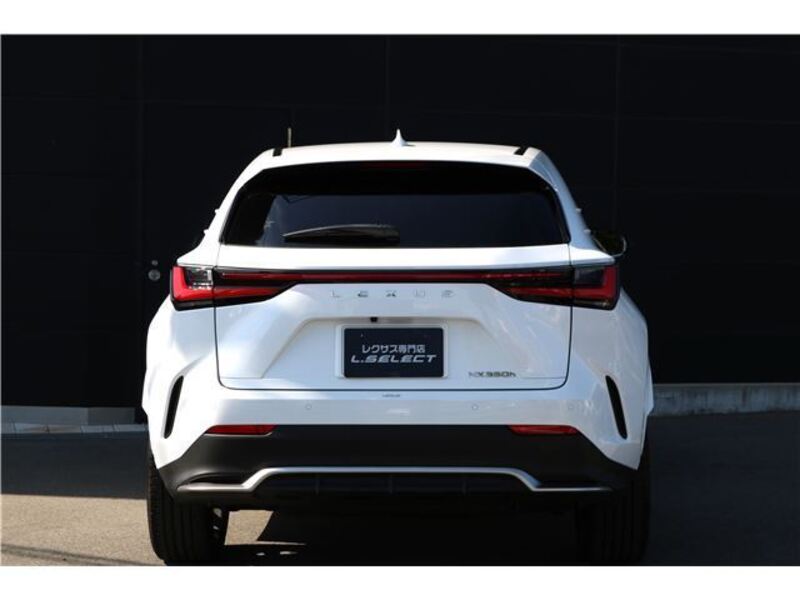 NX