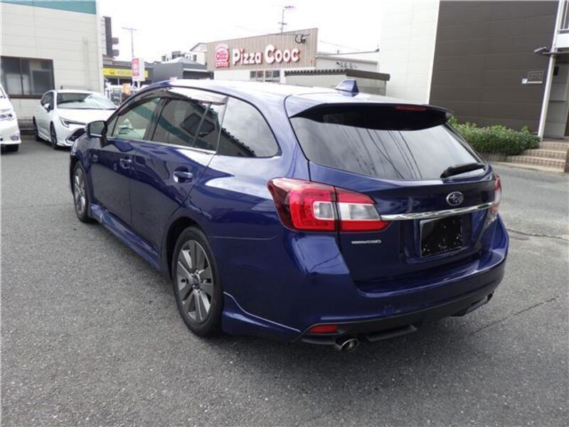LEVORG