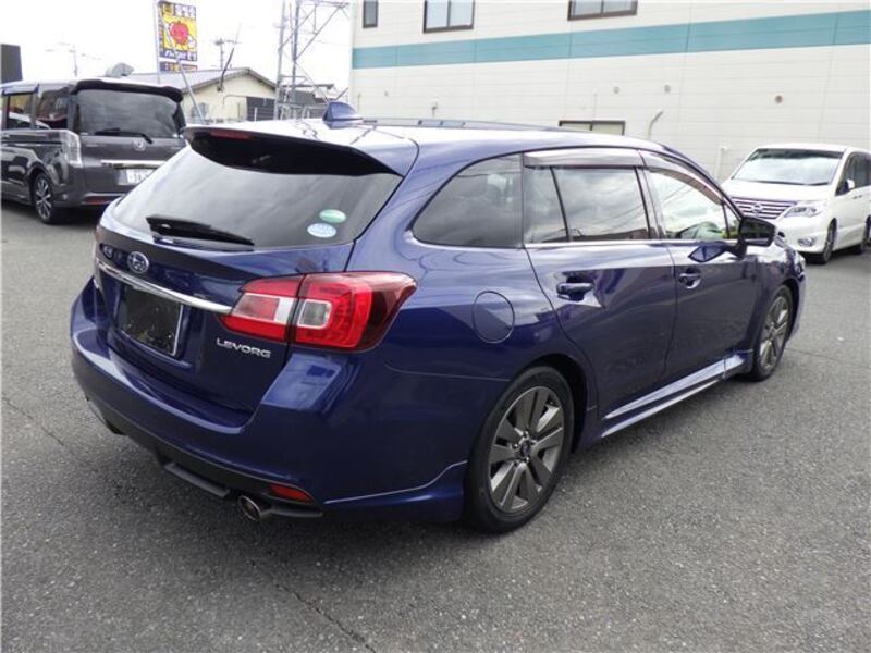 LEVORG