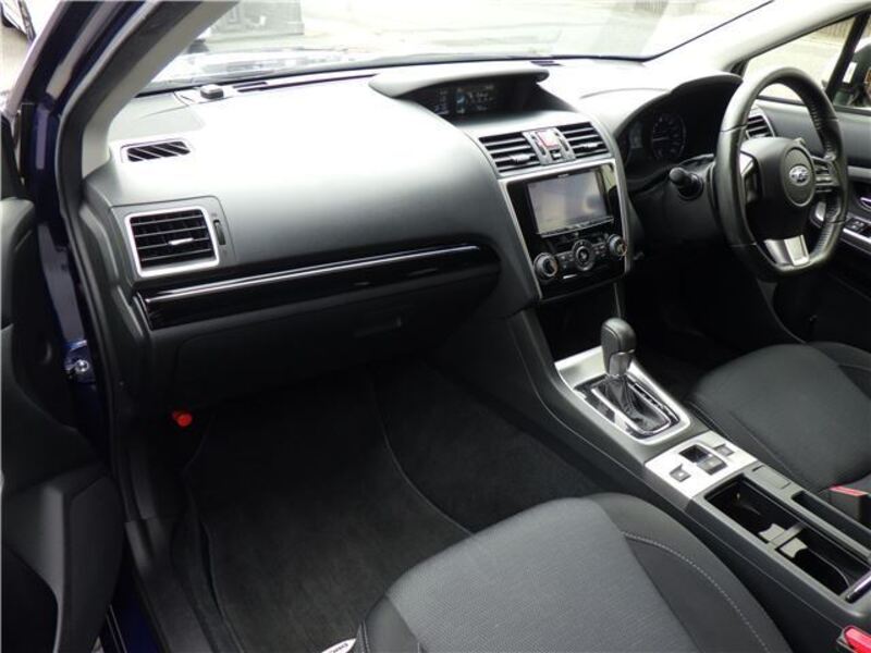 LEVORG