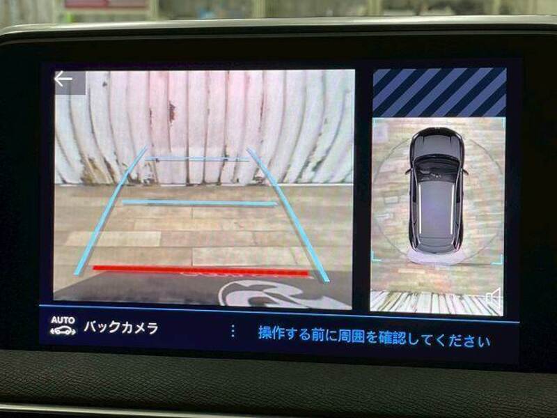 3008