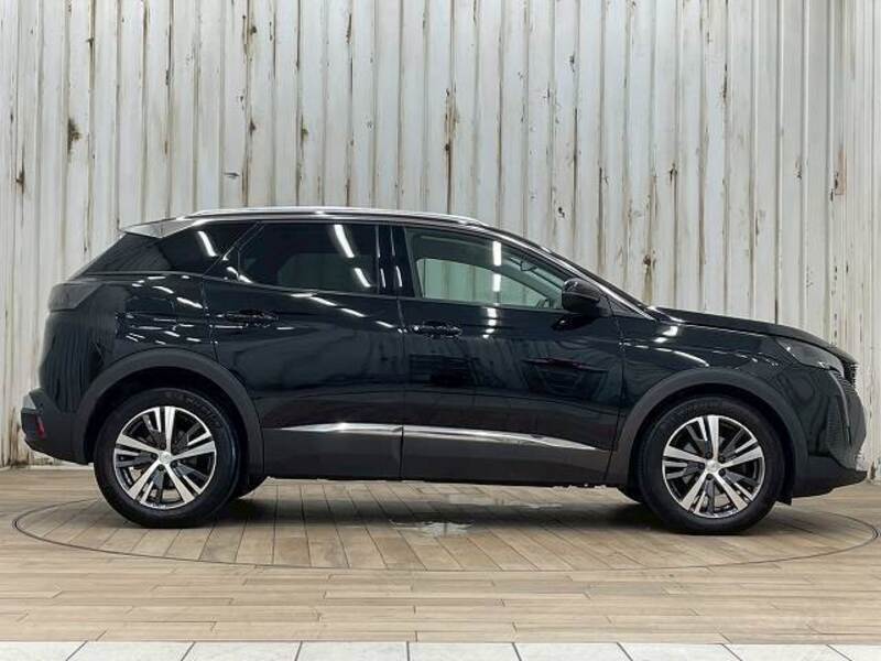 3008