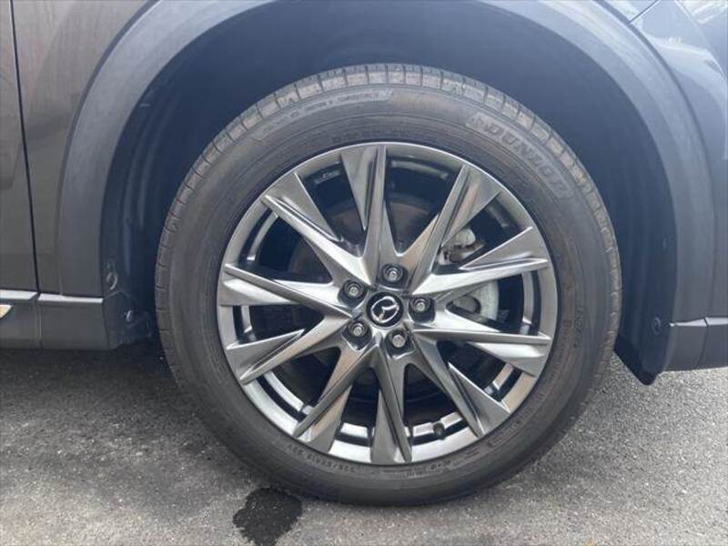CX-8