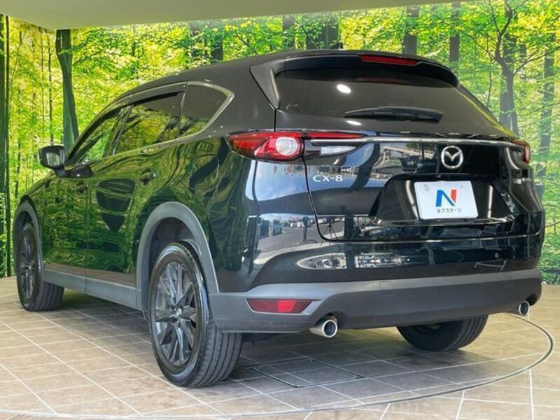 CX-8