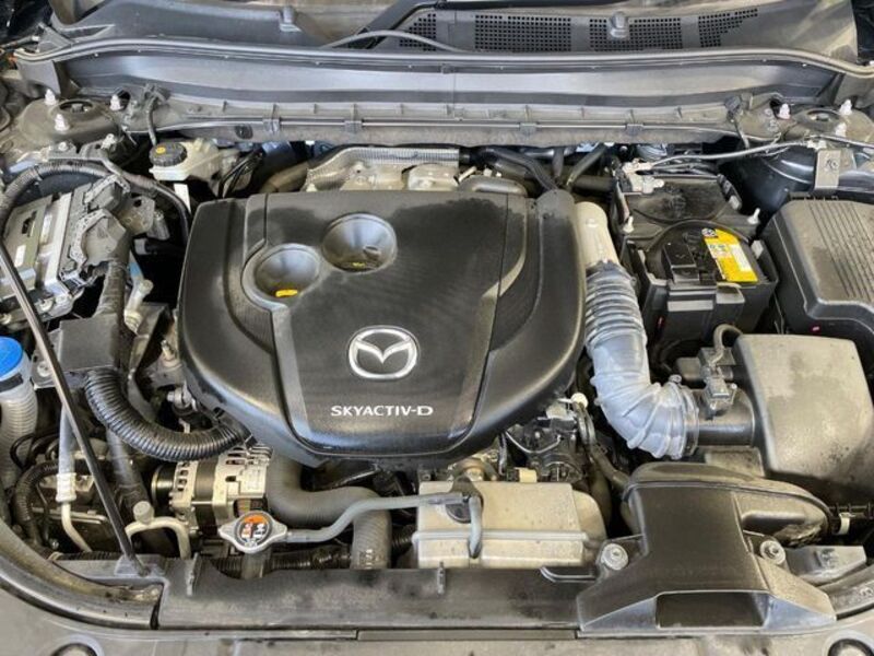 CX-8