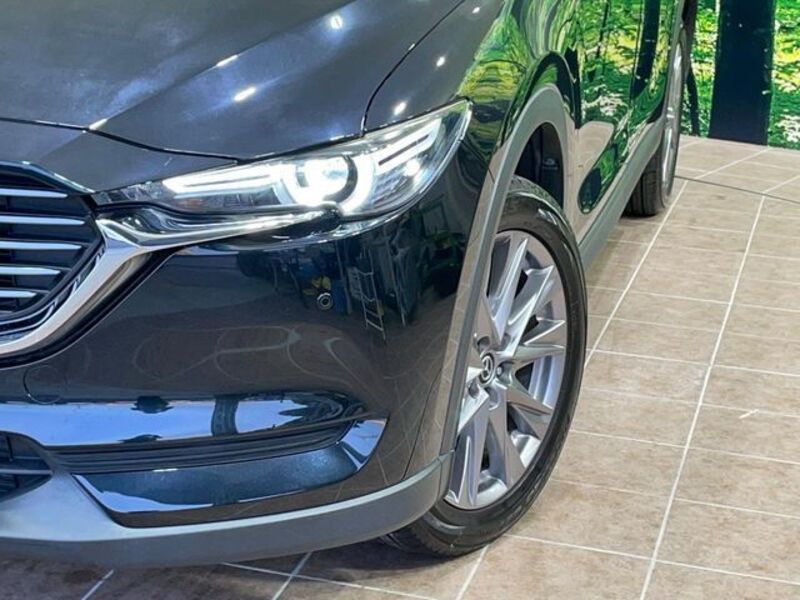 CX-8