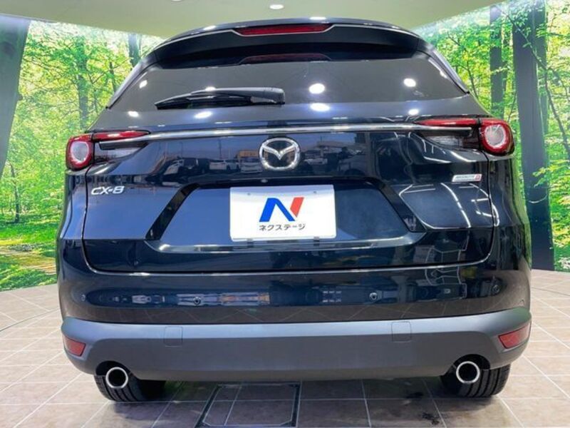 CX-8