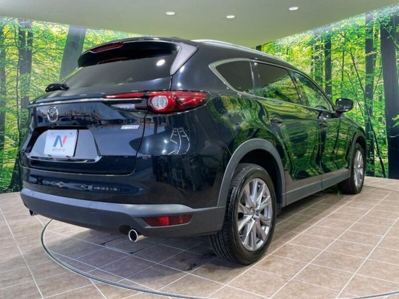 CX-8