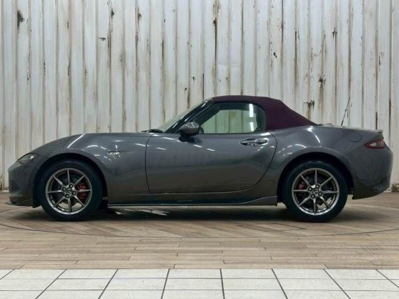 ROADSTER