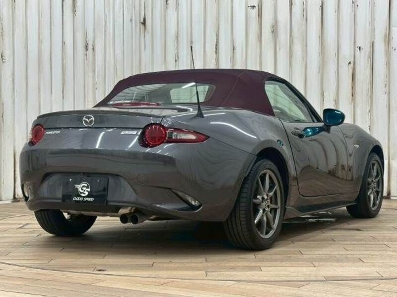 ROADSTER