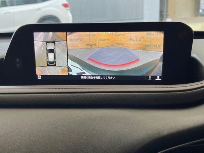 CX-30