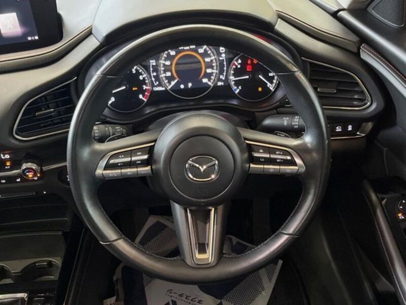 CX-30
