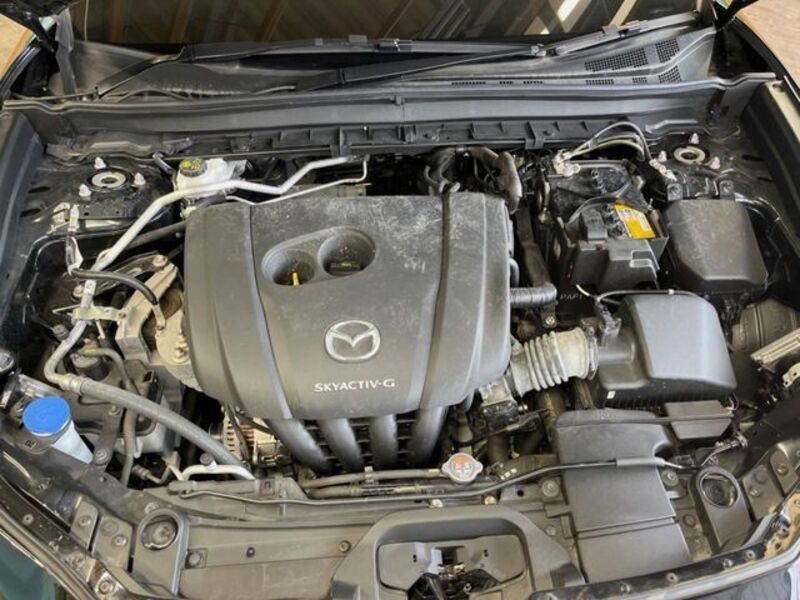CX-30