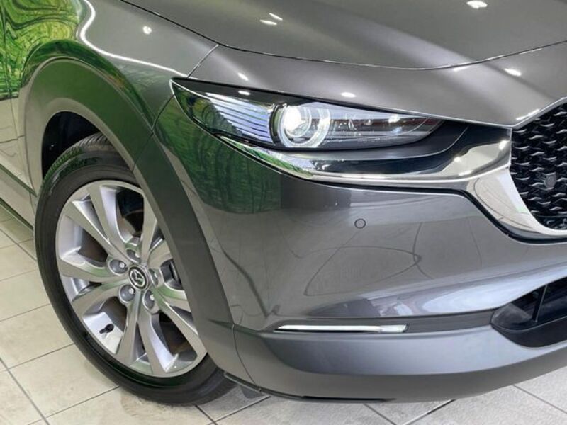 CX-30